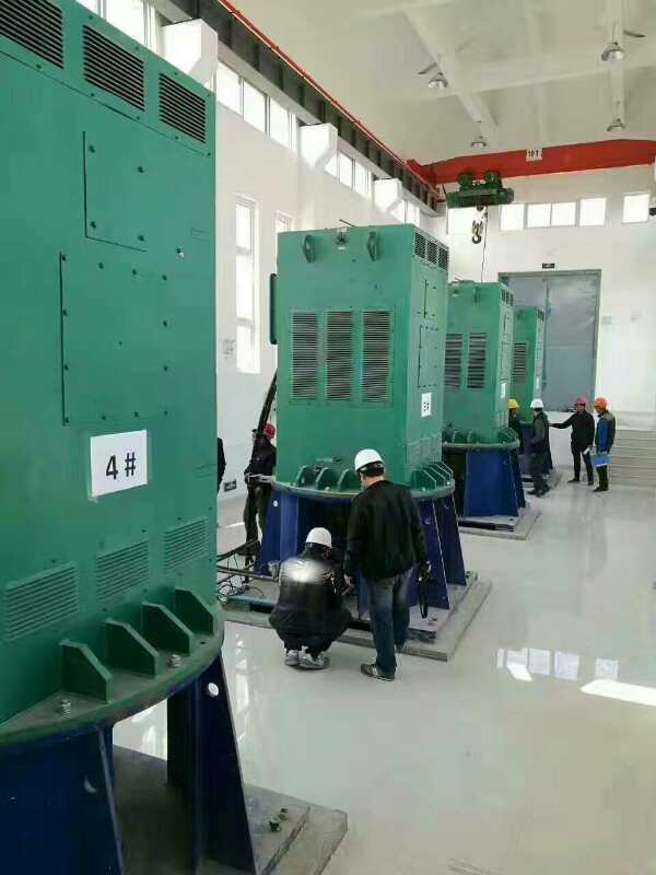 广昌某污水处理厂使用我厂的立式高压电机安装现场哪里有卖